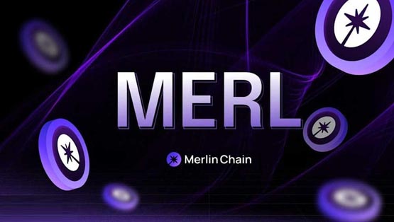 MERL币购买指南：新手交易教程速览