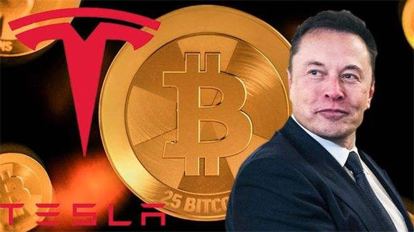 Dora币发行价揭秘：投资潜力与风险分析