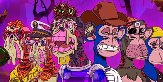 无聊猿崩盘！MAYC暴跌至2.6ETH，抄底机会？
