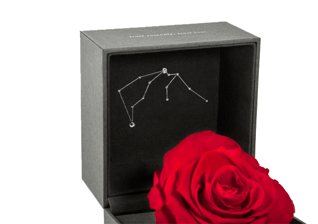 roseonly-玫瑰礼盒-玫瑰礼盒-朱砂星座玫瑰套装礼盒(水瓶) roseonly-玫瑰礼盒-玫瑰礼盒-朱砂星座玫瑰套装礼盒(水瓶)