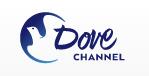 dovechannel