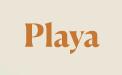 PlayaProducts