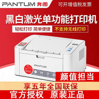 PANTUM 奔图 P2206NW 黑白激光打印机