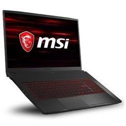 1日0点、61预告： MSI 微星 GF75 17.3英寸游戏本（i7-10750H、8GB、512GB、GTX1650）