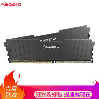 Asgard 阿斯加特 洛极T2 DDR4 3200MHz 台式机内存 16GB（8GBx2）