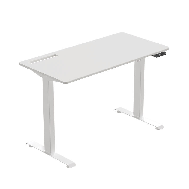 蓝立哆 （Elydo）实木电动升降桌 电脑桌 站立式工作升降台 书桌学习桌简约家用写字桌H1 Pro 白色 1.2*0.6m实木桌板