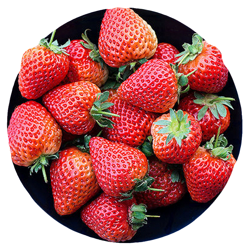 果仙享 新鲜大凉山冬草莓奶油草莓  新鲜水果 1.5斤装