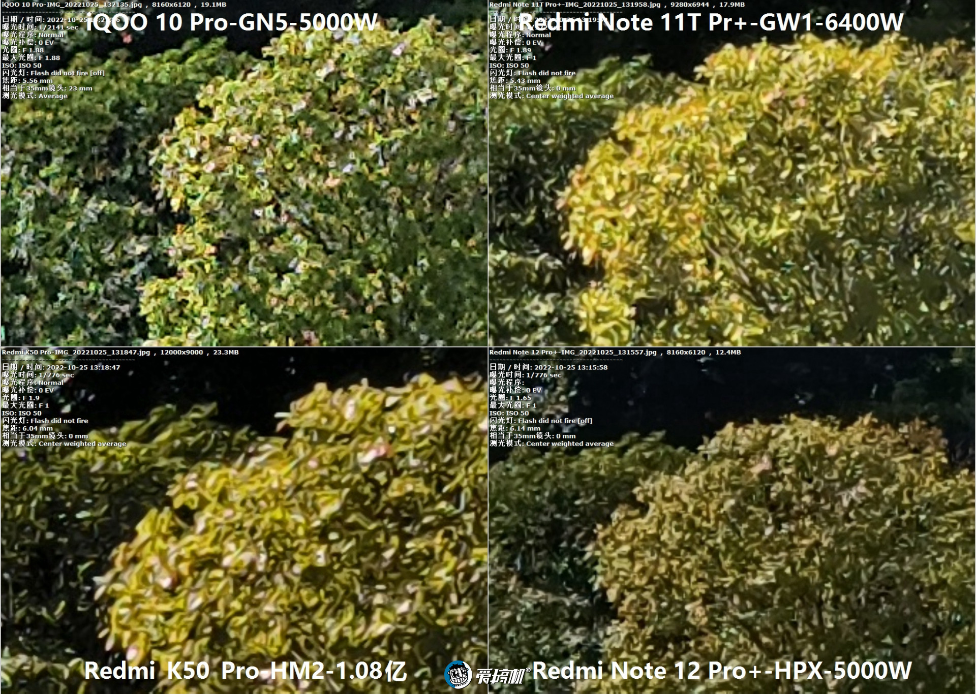 2亿像素拍照对比：Redmi Note 12 Pro+对战K50 Pro、iQOO 10 Pro