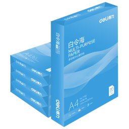 得力(deli)白令海A4打印纸 70g克500张*5包一箱 双面复印纸 高性价比草稿纸 整箱2500张 7753