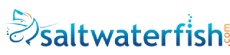 Saltwaterfish.com