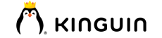 Kinguin DE