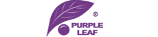 Purple Leaf