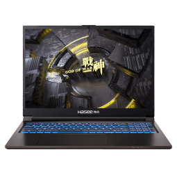 神舟（HASEE）战神TX8R7 13代英特尔酷睿i7 16英寸游戏本 笔记本电脑(i7-13700HX 16G 512G RTX4060 165Hz 2.5K