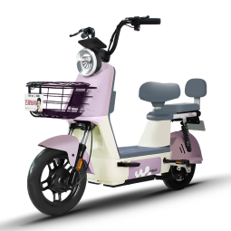 五星钻豹电动车B15 新国标电瓶车48V大容量男女小型代步车两轮电动自行车 源彩暮灰/漫步白/F星辰白