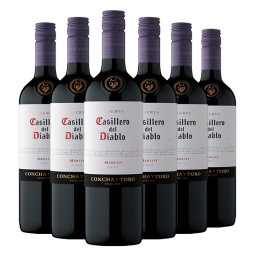 红魔鬼（Casillero del Diablo）梅洛干红葡萄酒 750ml*6瓶整箱装 智利进口红酒