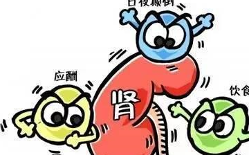 这5种表现是肾透支，做到“2注、3食”，恢复快