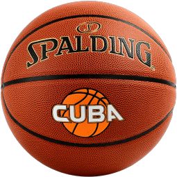 斯伯丁（SPALDING）篮球7号经典黑金训练比赛室内外通用耐磨防滑吸湿七号篮球