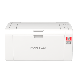 奔图（PANTUM）P1黑白激光打印机家用 商用打印机 小型无线作业打印 无线蓝牙/手机远程打印 下单赠硒鼓，P2210W手机无线+电脑打印
