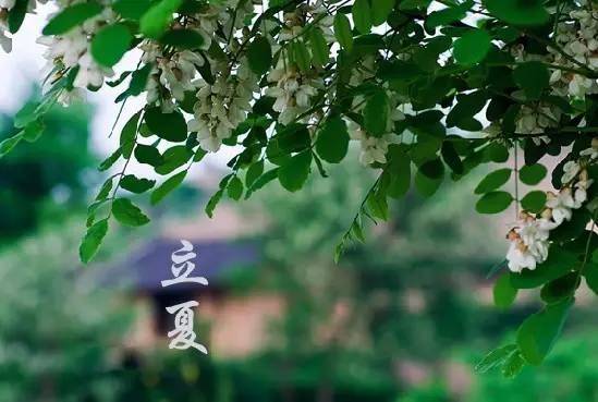 “立夏吃3宝，不往医院跑”，5月5日立夏, 3宝指什么?老传统别忘