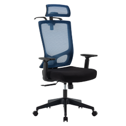 恒林 玄星电脑椅人体工学椅久坐舒适办公椅家用升降旋转座椅 HLC-2788