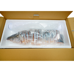 美威冷冻智利 三文鱼礼盒4kg 整条轮切 大西洋鲑 送礼端午礼盒礼物