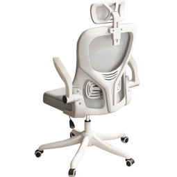 奥伦福特  电脑椅家用人体工学椅子办公椅学生学习椅写字书房电竞游戏躺椅 WE黑框黑【后躺+乳胶】店长推荐