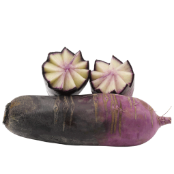 寿禾 水果萝卜种子冰淇淋萝卜蔬菜籽 潍育甘翠冰淇淋萝卜种子60粒/袋