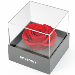 ROSEONLY永生花经典钟情丘比特熊礼盒方形生日送女朋友爱人情人节礼物 小钟情-红色