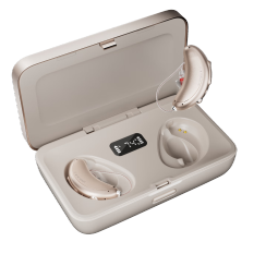 科大讯飞（iFLYTEK）耳背式助听器老年人专用耳聋耳背隐形蓝牙降噪HC-03(M)新月版双耳