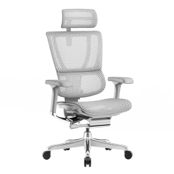 Ergonor保友优旗舰2代 人体工学椅电脑椅办公椅护腰 游戏电竞椅子 银白网