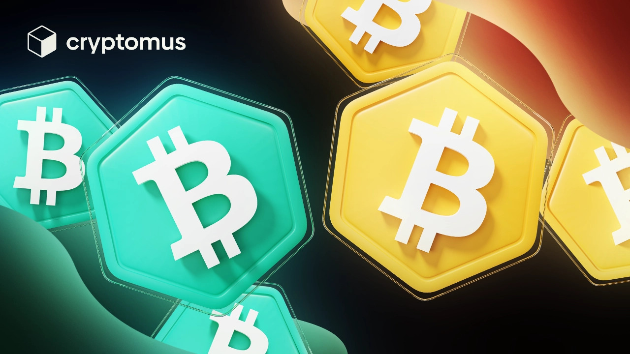 比特币现金区别：深度解析与对比
