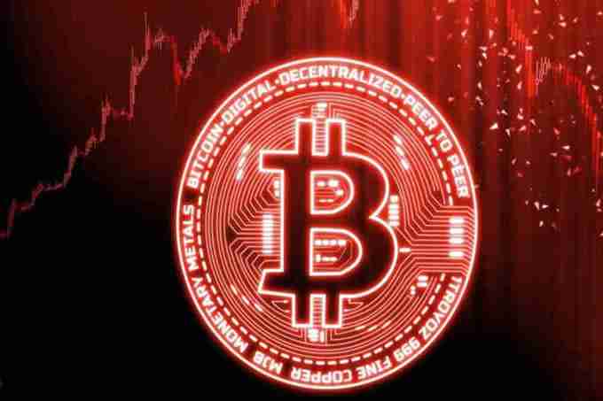 币价涨跌预测：新手入门避坑指南
