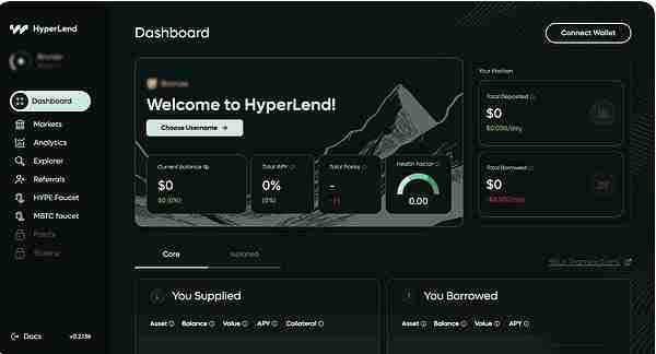 HyperEVM生态潜力：热门项目及未来前景展望
