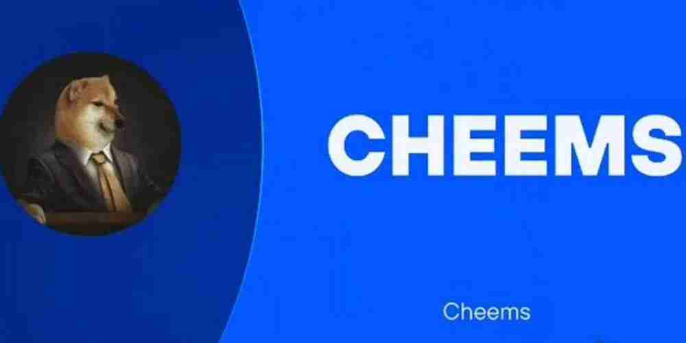 CHEEMS币深度解析：投资价值及风险评估
