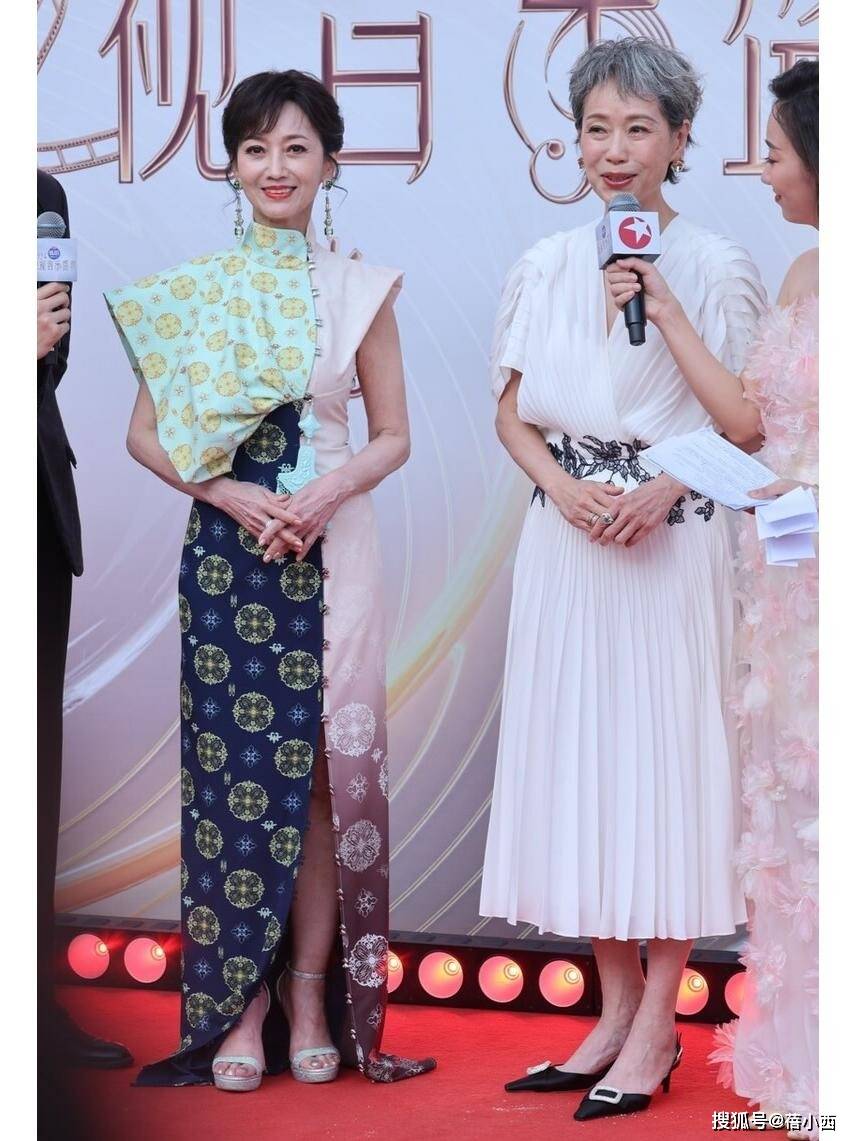 71岁赵雅芝与62岁叶童同框，一个优雅一个干练，果真岁月不败美人