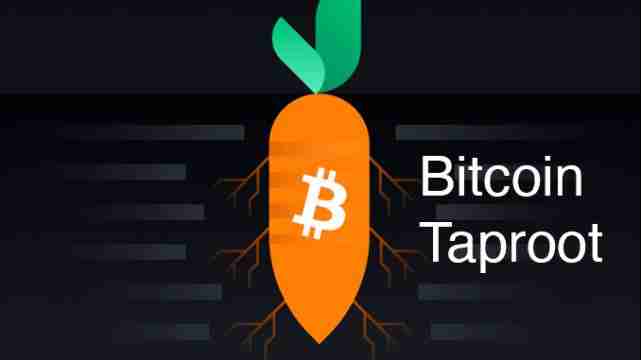 Taproot地址：提升比特币隐私与效率的关键