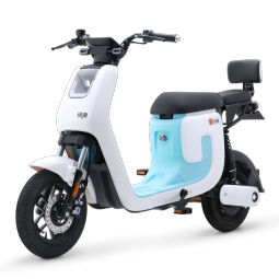 绿源（Luyuan）新国标电动自行车K5 通勤代步轻便电瓶车 48V24A可提锂电 光纤白