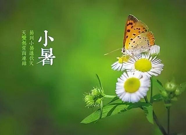 “小暑吃三宝，伏天没烦恼”7月7日小暑，3宝指啥？建议提早了解