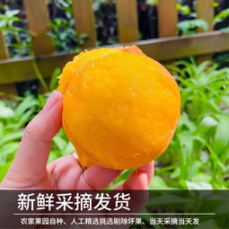京格顺丰山东蒙阴黄毛桃水果黄肉桃2.5斤装净重2.25斤 拍2件合发一箱 蒙阴黄毛桃6 净重2.25斤（ 6-8个