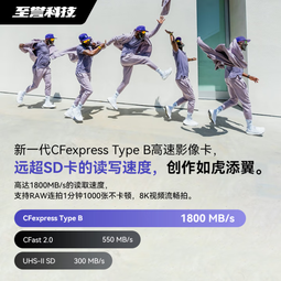 至誉科技Element系列CFeB卡CFexpressType B高速存储卡 XQD卡 佳能尼康松下相机 电影级CFEB卡 128GB（持续写速450MB/s）