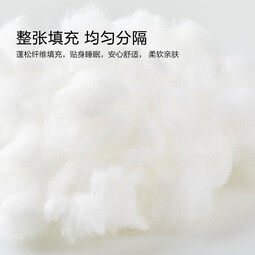 博洋（BEYOND）博洋家纺全棉夏凉被纯棉夏被空调被夏天用薄被子 【全棉】木槿浮生 150*210cm