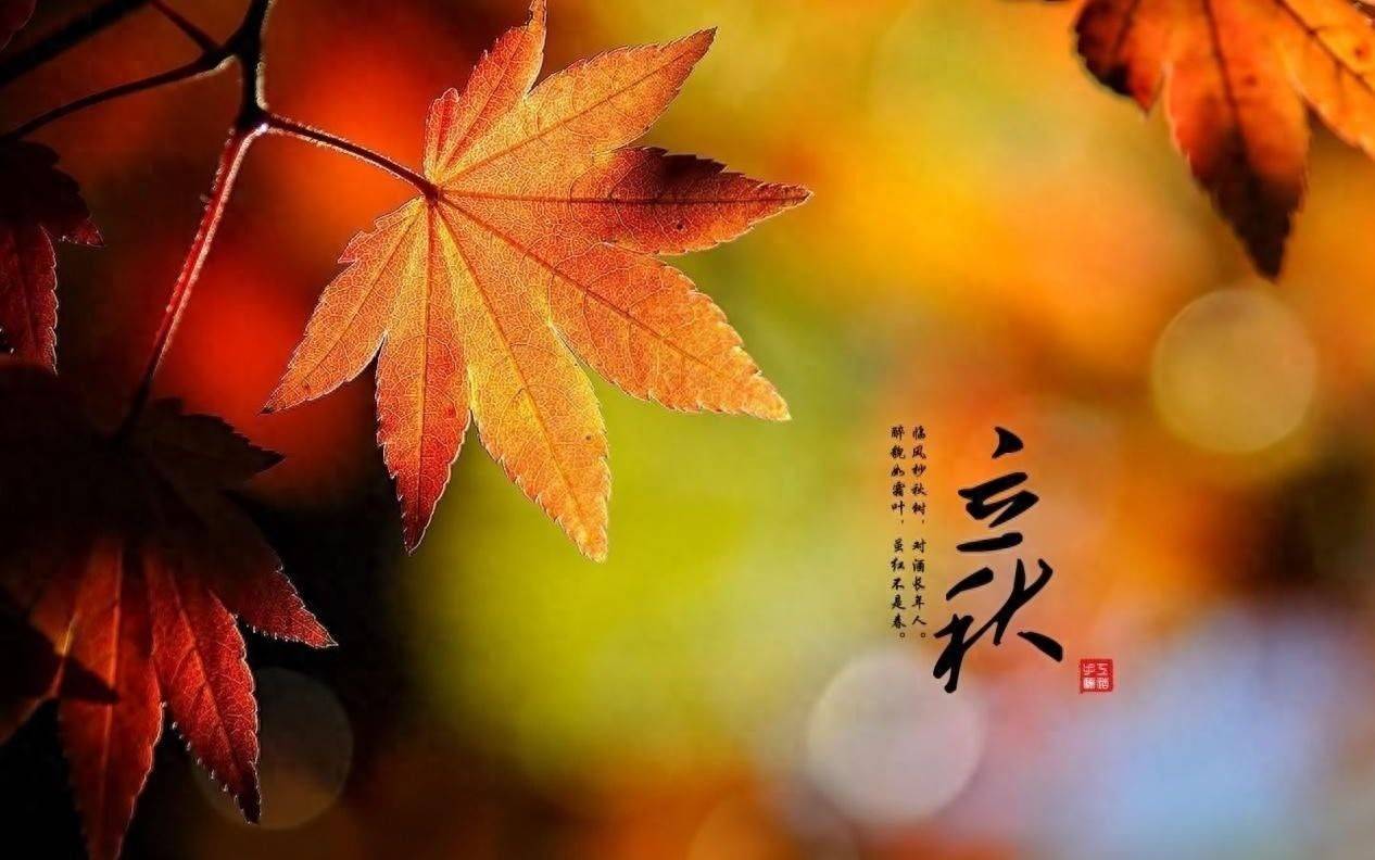 “立秋吃四宝，不往医院跑”明日立秋别忘吃，滋养润燥全家都受益