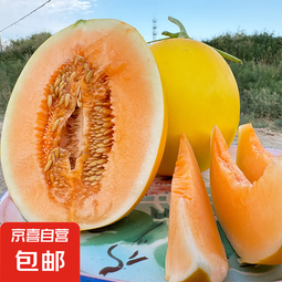 民勤蜜瓜新鲜采摘沙漠甜瓜源头果园直发 3-5枚装净重（8-9斤）