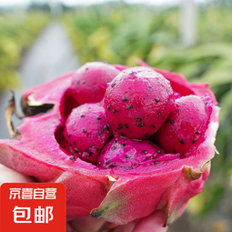 海南红心火龙果金都一号装新鲜采摘现摘现发 火龙果带箱1斤（单果200g-300g）