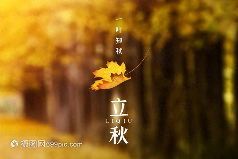 今日立秋，别忘了“补秋”，多吃这四道菜营养不长肉，健康贴秋膘