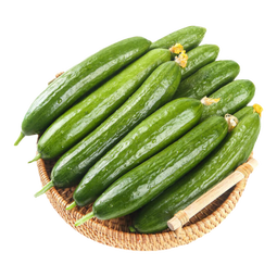 京鲜生 山东荷兰水果黄瓜净重5斤 单果100g+ 健康轻食早餐 源头直发
