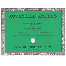 阿诗（ARCHES）水彩本纯棉水彩纸进口300g画画纸水彩画专业用纸四面封胶 绿面 中粗(26X36CM) 20页/本