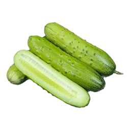 东北旱黄瓜现摘青瓜新鲜蔬菜水果黄瓜带刺小黄瓜 旱黄瓜 4.5斤 单根≥90g