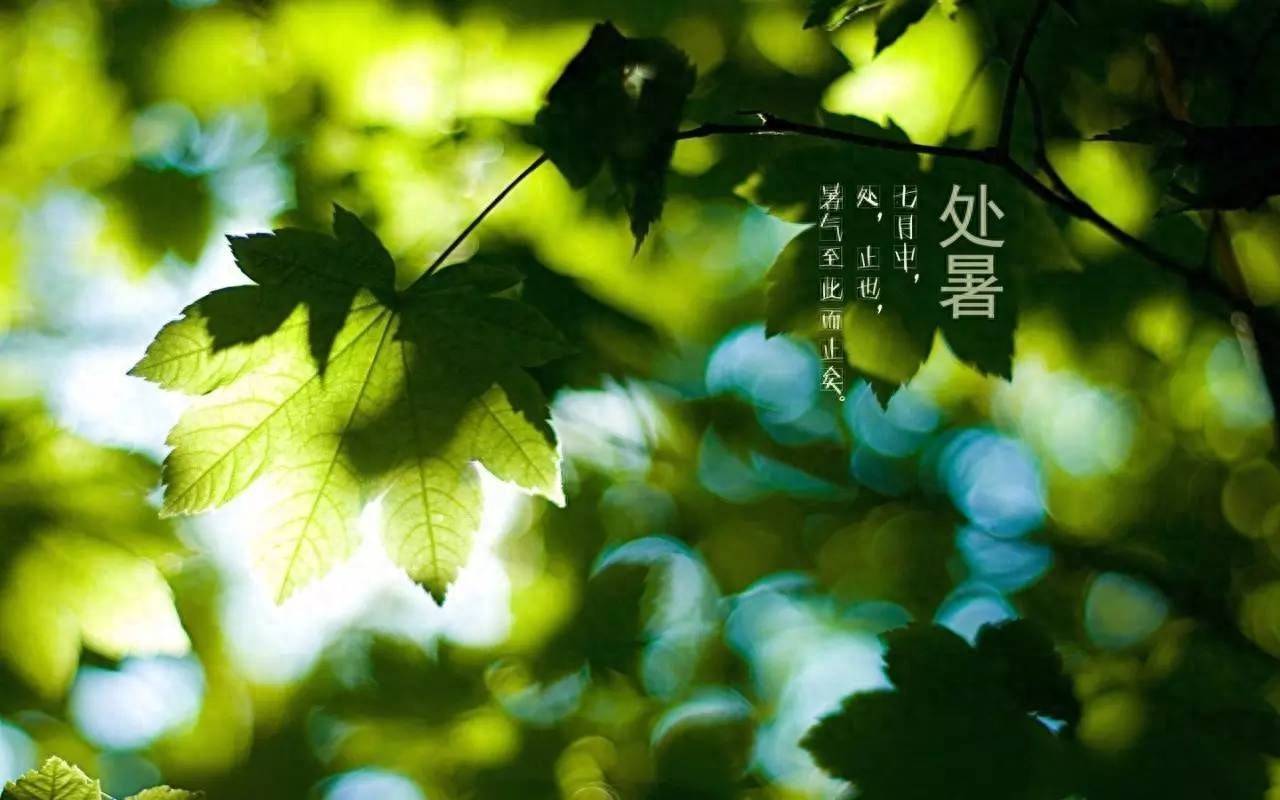 今日处暑，再忙也别忘吃“1肉、2果、3菜”，健康秋补秋冬少生病
