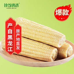 珍谷诱惑东北糯玉米25年新玉米棒 低脂零食 代餐食品 真空包装 原产地直发 白糯玉米10支 2kg